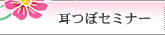 ���ڃZ�~�i�[
