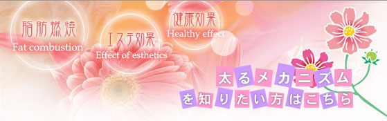 ���郁�J�j�Y����m�肽�����͂�����