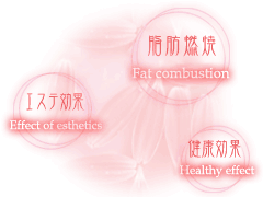 ゲルマニウム温浴の3大効果　脂肪燃焼・エステ効果・健康効果