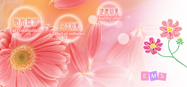 ＥＭＳ／近江接骨院