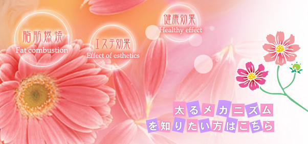 太るメカニズムを知りたい方はこちら／近江接骨院