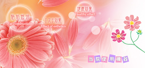 当院使用機器／近江接骨院